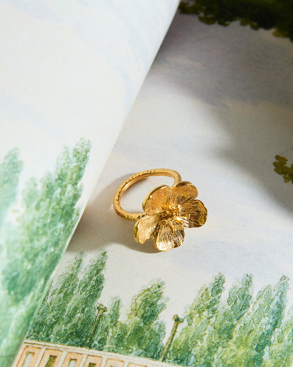 The Ring of Museum of Florale